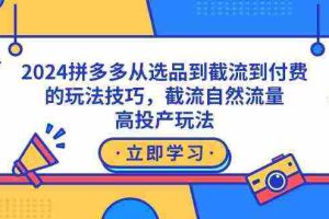 (9037期)2024拼多多从选品到截流到付费的玩法技巧,截流自然流量玩法,高投产玩法