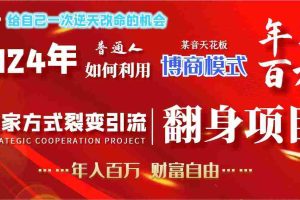 (9027期)2024年普通人如何利用博商模式做翻身项目年入百万,财富自由