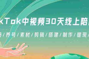 (8963期)TikTok中视频-30天线上陪跑班:注册/养号/素材/剪辑/搭建/制作/提现/等等