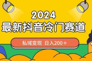 (8960期)2024抖音最新冷门赛道,私域变现轻松日入200+,作品制作简单,流量爆炸