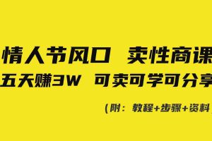 (8958期)情人节风口!卖性商课,小白五天赚3W,可卖可学可分享!