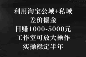 (8952期)利用淘宝公域+私域差价掘金,日赚1000-5000元,工作室可放大操作,实操…