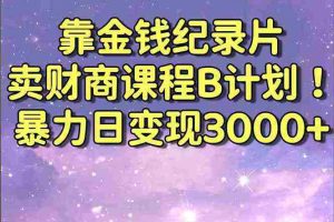 (8944期)靠金钱纪录片卖财商课程B计划!暴力日变现3000+,喂饭式干货教程!