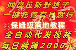 (8936期)网盘拉新野路子,一键托管有号就行,全自动代发视频,每日躺赚2000+,…