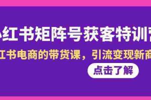(8909期)小红书-矩阵号获客特训营-第10期,小红书电商的带货课,引流变现新商机