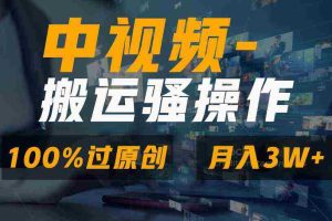 (8907期)无脑双重去重原创视频,100%中视频+视频号分成计划,一键多平台发布小白…