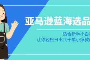 (8907期)亚马逊-蓝海选品课:适合新手小白卖家,让你轻松日出几十单小爆款产品