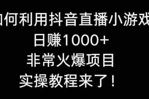 (8870期)如何利用抖音直播小游戏日赚1000+,非常火爆项目,实操教程来了!