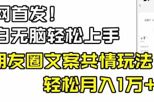(8860期)小白轻松无脑上手,朋友圈共情文案玩法,月入1W+