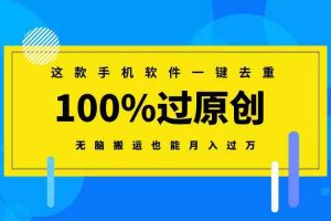 (8818期)这款手机软件一键去重,100%过原创 无脑搬运也能月入过万