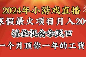(8778期)2024年寒假爆火项目,小游戏直播月入20w+,学会了之后你将翻身