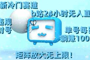 (8770期)最新冷门赛道,b站24小时无人直播 0违规0封号,单号每日躺赚100+矩阵放…