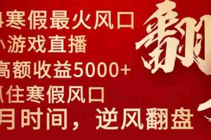(8766期)2024年最火寒假风口项目 小游戏直播 单场收益5000+抓住风口 一个月直接提车