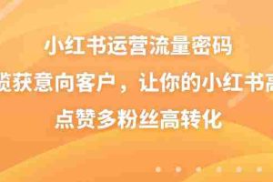(8764期)小红书运营流量密码,揽获意向客户,让你的小红书高点赞多粉丝高转化