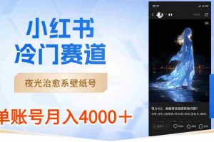(8743期)小红书冷门赛道,夜光治愈系壁纸号,单号月入4000+