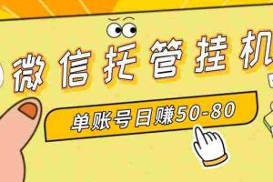 (8731期)微信托管挂机,单号日赚50-80,多号多撸,项目操作简单(附无限注册实名…