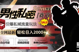 (8713期)全网最新男性私密赛道玩法,引爆私域流量,轻松日入2000+