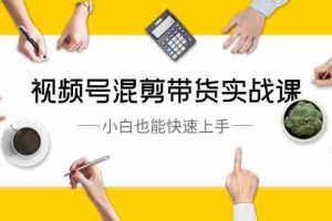 (8686期)视频号-混剪带货实战课,小白也能快速上手(10节课)