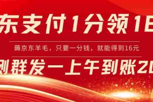 (8678期)京东支付1分得16元实操到账200