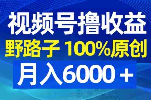 (8679期)视频号野路子撸收益,100%原创,条条爆款,月入6000+