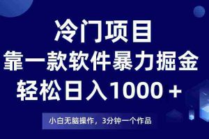 (9791期)冷门项目,靠一款软件暴力掘金日入1000+,小白轻松上手第二天见收益