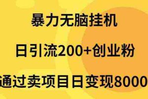 (9788期)暴力无脑挂机日引流200+创业粉通过卖项目日变现2000+