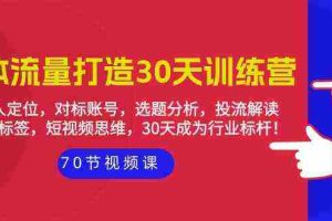 (9782期)实体-流量打造-30天训练营:个人定位,对标账号,选题分析,投流解读-70节