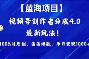 (9777期)2024蓝海项目视频号,最新方法, 100%过原创,条条爆款,单日变现1K+,…