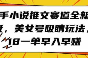 (9776期)快手小说推文赛道全新升级,美女号吸睛玩法,18一单早入早赚