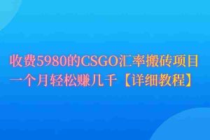 (9776期)CSGO装备搬砖,月综合收益率高达60%,你也可以!