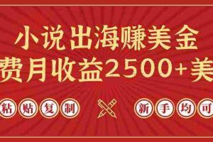 (9765期)小说出海赚美金,稿费月收益2500+美金,仅需chatgpt粘贴复制,新手也能玩转