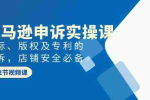 (9754期)亚马逊-申诉实战课,商标、版权及专利的申诉,店铺安全必备