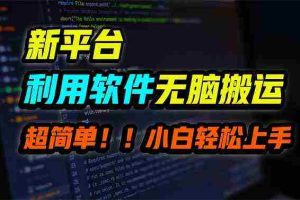 (9745期)新平台用软件无脑搬运,月赚10000+,小白也能轻松上手