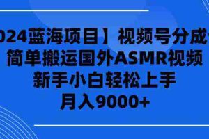 (9743期)【2024蓝海项目】视频号分成计划,无脑搬运国外ASMR视频,新手小白轻松…