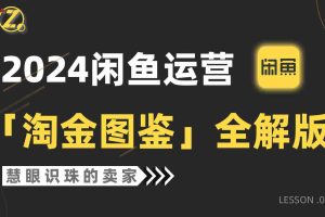 (9738期)2024闲鱼运营,【淘金图鉴】全解版