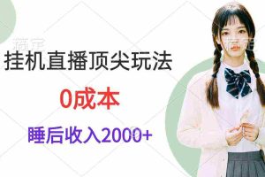 (9715期)挂机直播顶尖玩法,睡后日收入2000+、0成本,视频教学