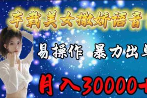 (9710期)车载女生撒娇语音包,易操作,暴力出单,月入30000+
