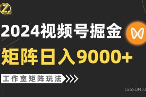 (9709期)【蓝海项目】2024视频号自然流带货,工作室落地玩法,单个直播间日入9000+