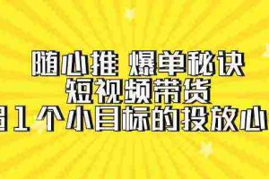 (9687期)随心推 爆单秘诀,短视频带货-超1个小目标的投放心得(7节视频课)
