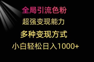 (9680期)全局引流色粉 超强变现能力 多种变现方式 小白轻松日入1000+