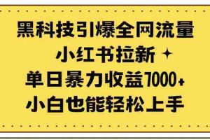 (9679期)黑科技引爆全网流量小红书拉新,单日暴力收益7000+,小白也能轻松上手
