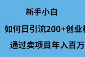 (9668期)新手小白如何日引流200+创业粉通过卖项目年入百万