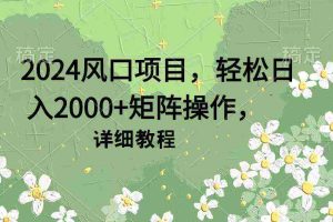 (9652期)2024风口项目,轻松日入2000+矩阵操作,详细教程