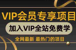 (9651期) 2024视频号最新撸收益技术,爆火赛道起号玩法,收益稳定,单日1000+
