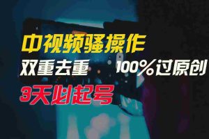 (9649期)中视频骚操作,双重去重100%过原创,3天比必起号,简单无脑,月入3W+