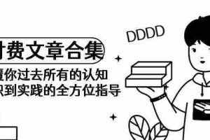 (9646期)《某公众号付费文章合集》颠覆你过去所有的认知 从认识到实践的全方位指导