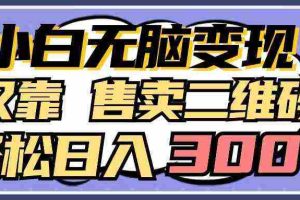 (9637期)小白无脑变现,仅靠售卖二维码,轻松日入300+