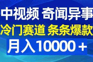 (9627期)中视频奇闻异事,冷门赛道条条爆款,月入10000+
