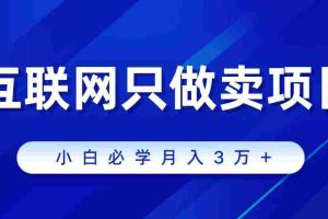 (9623期)互联网的尽头就是卖项目,被割过韭菜的兄弟们必看!轻松月入三万以上!