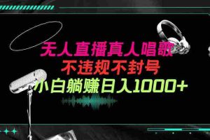 (9622期)抖音24小时无人直播音乐,不违规,不封号纯撸音浪,小白实操当天日入1000+